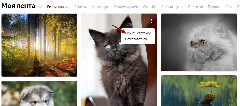 Мои Картинки Яндекс Коллекция Сохраненные