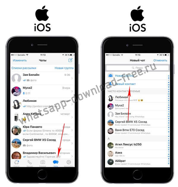 Как найти чаты в ватсапе на айфоне. Карточка контакта в WHATSAPP.